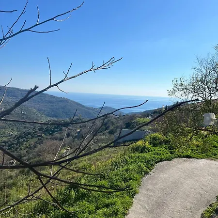 Dente Di Leone * San Mauro Cilento